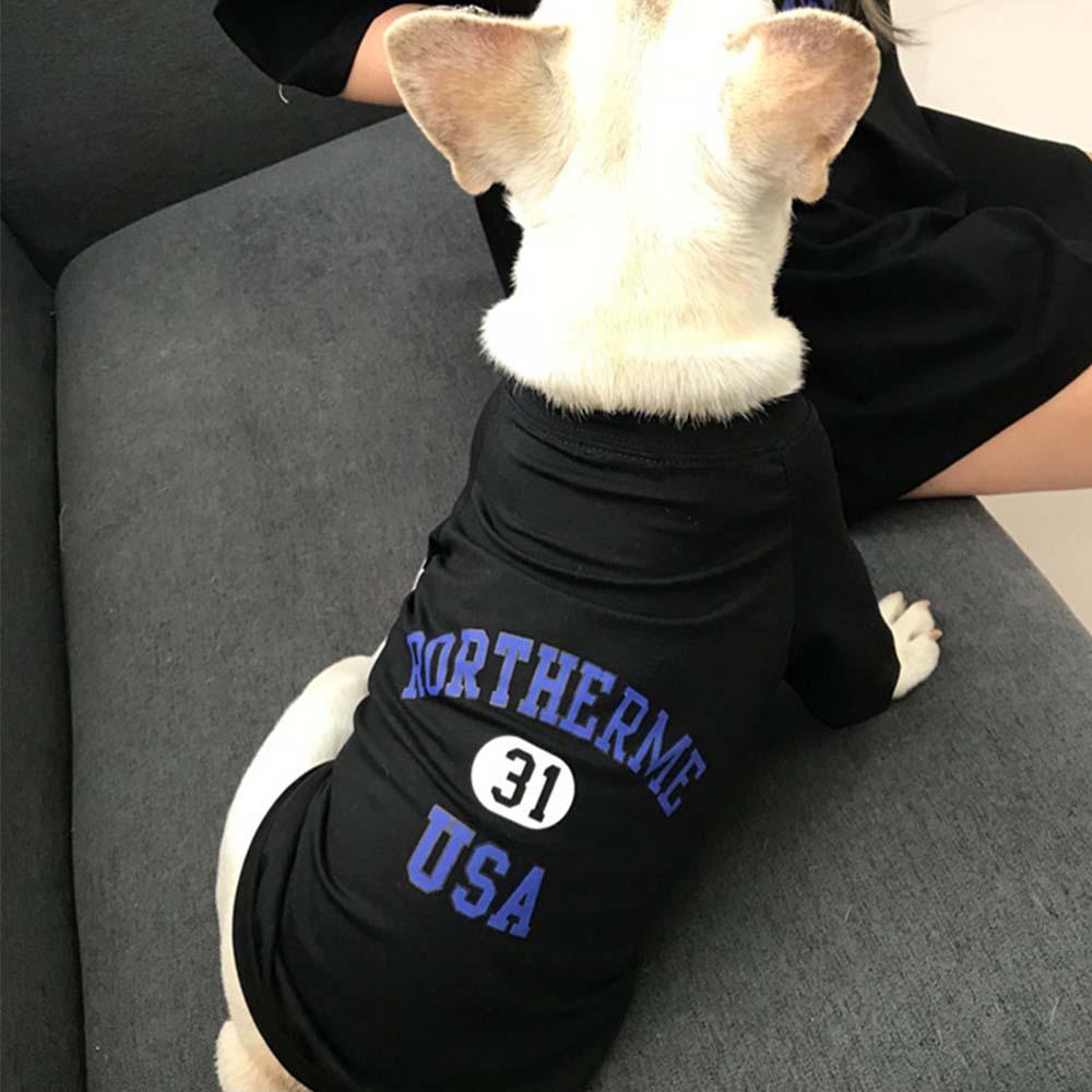 Vêtements Assortis pour Chien et son Maitre | 2023