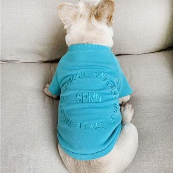 Vêtements Assortis pour Chien et son Maitre | 2023