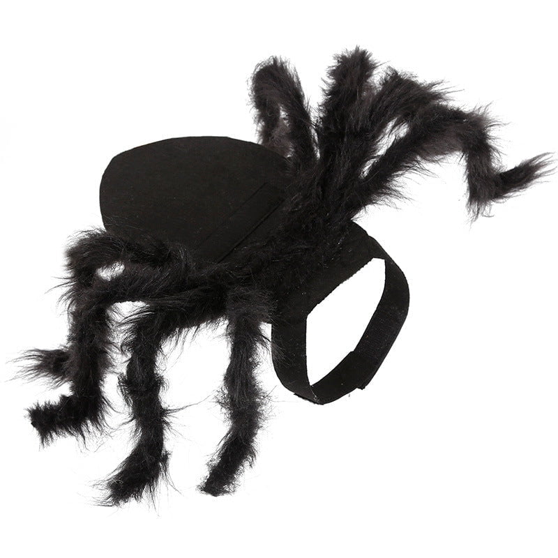 Costume d'araignée pour chien | 2023