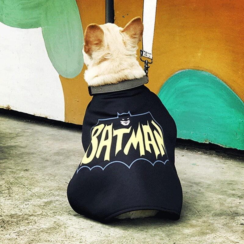 Costume Batman pour chiens | 2023