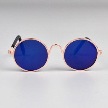 Lunettes de soleil pour chiens rose/bleu | 2025