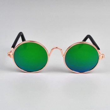 Lunettes de soleil pour chiens Rose/Vert | 2024