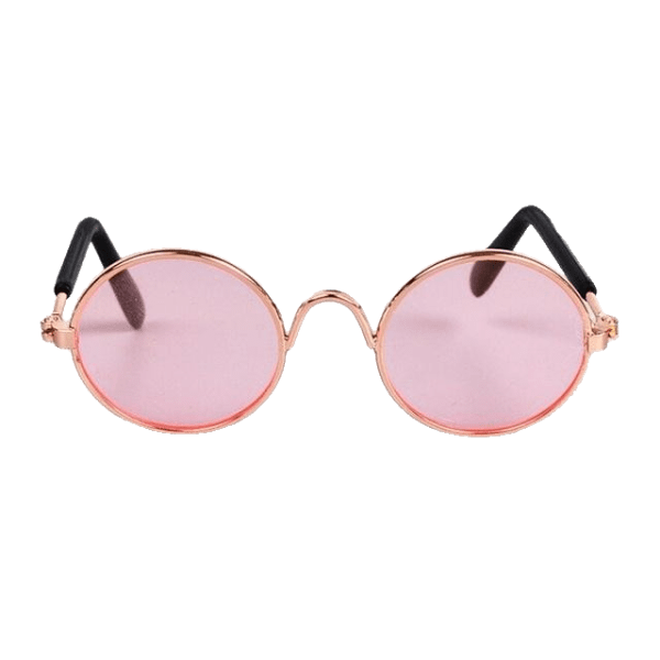 Lunettes de soleil pour chiens Rose | 2024