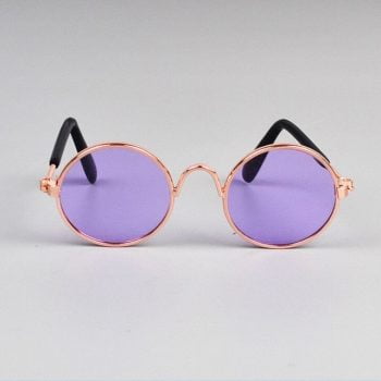 Lunettes de soleil pour chiens Rose/Violet | 2024