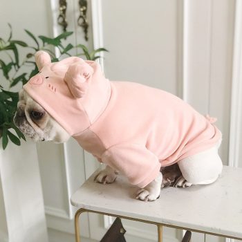 Costume de cochon pour chiens | 2024