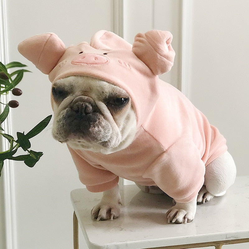 Costume de cochon pour chiens | 2024