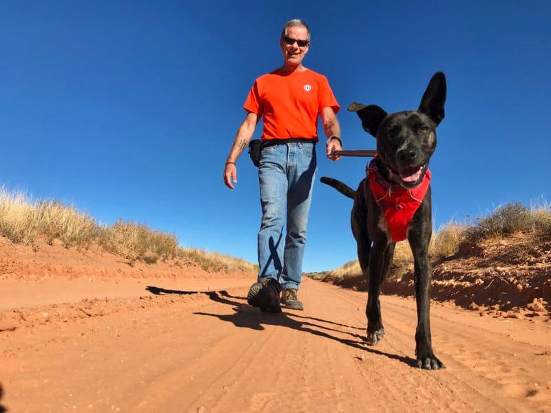 Homme en t-shirt orange promenant un chien souriant Homme en t-shirt orange promenant un chien souriant
