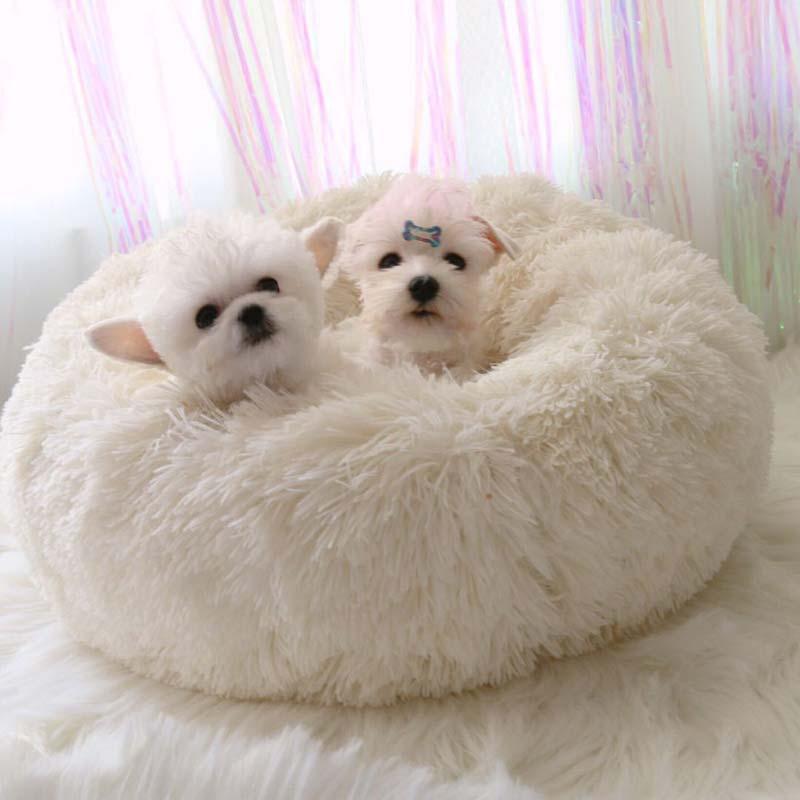 lit orthopédique ou lit calmant pour chien ?