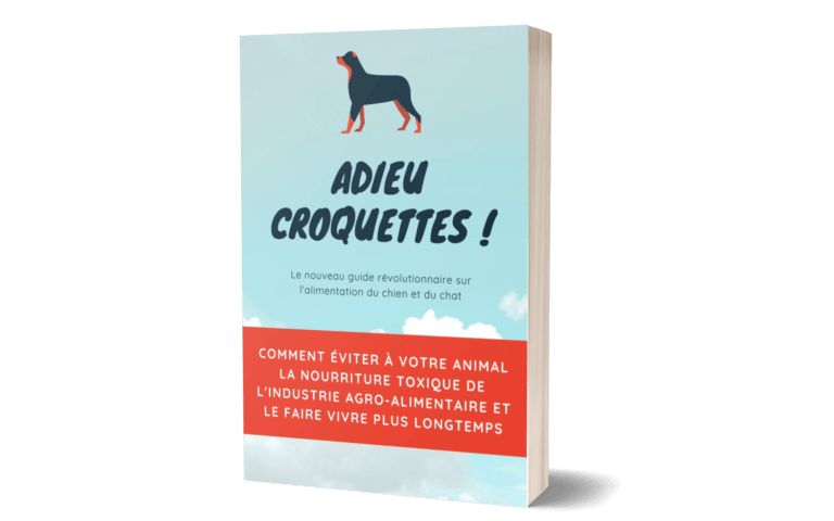 Adieu Croquettes une alternative saine pour votre animal de compagnie