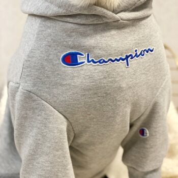 Vêtements Grands Chiens Champion | 2024