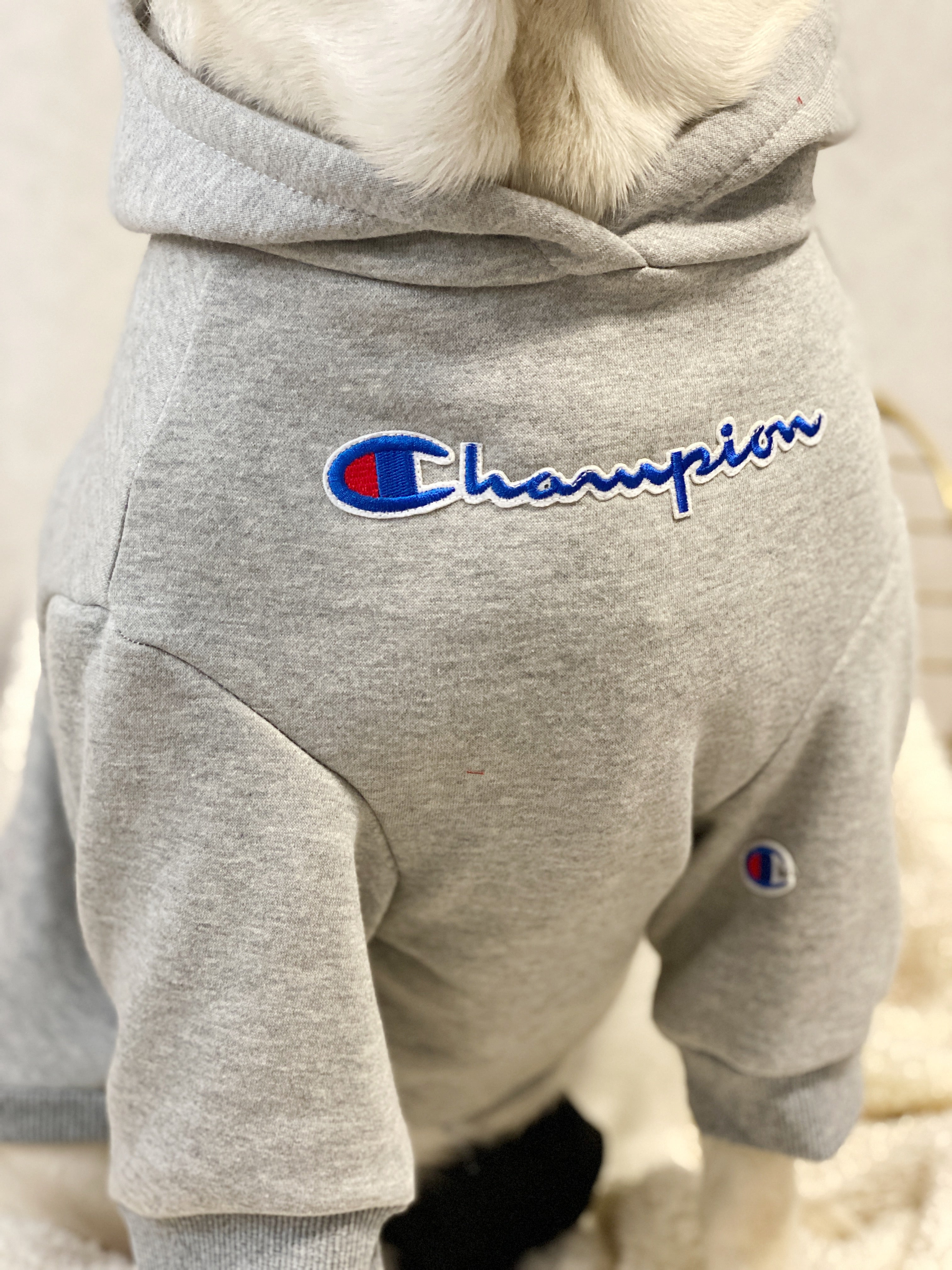 Vêtements Grands Chiens Champion | 2024