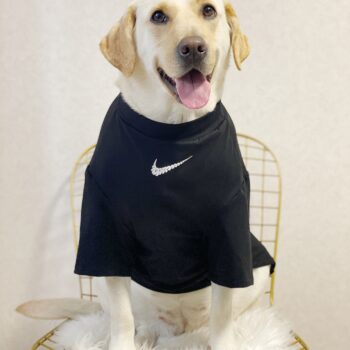 Vêtements pour grands chiens Nike | 2025