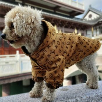 Veste pour chien Louis Pawtton | 2025