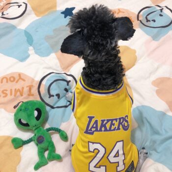 Gilet sans manches pour chien Basketball | 2024