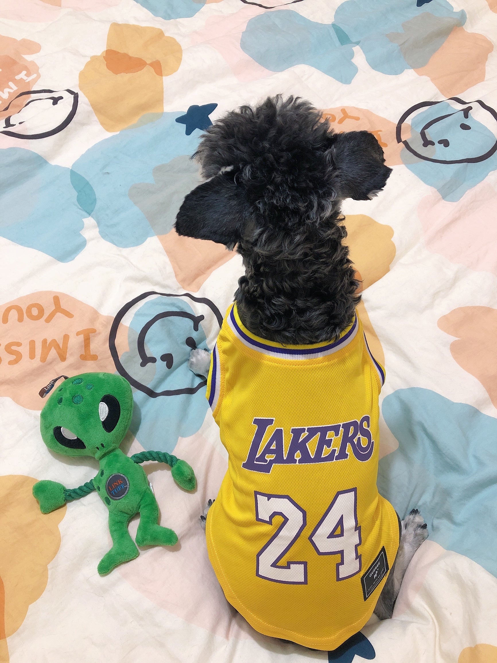 Gilet sans manches pour chien Basketball | 2024