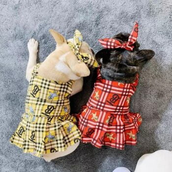 Robe Burberry Luxe pour Chiens | 2024