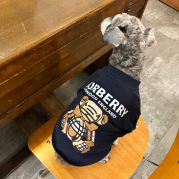 T-shirt pour chien Burberry | 2024