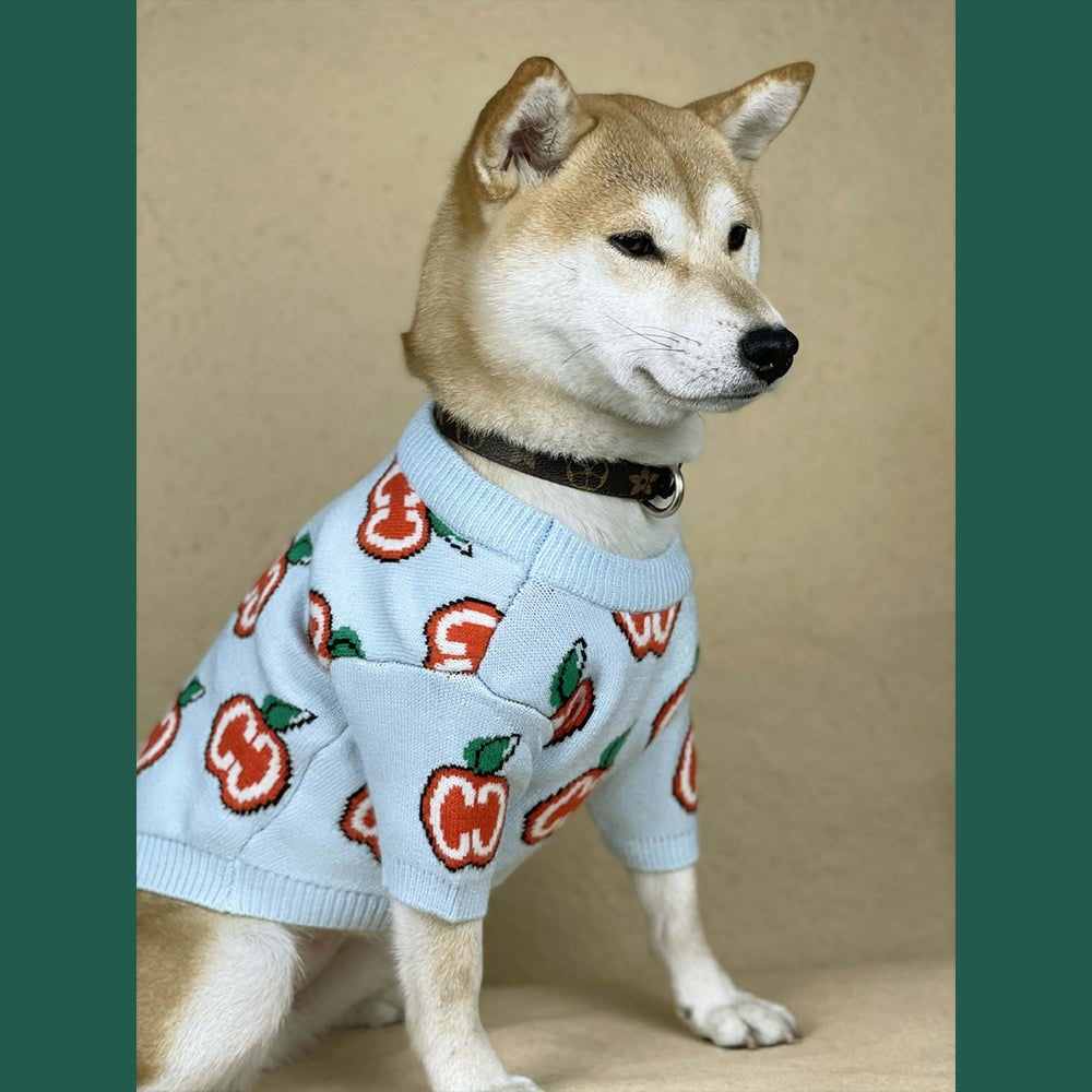 Pull pour chien Gucci | 2024