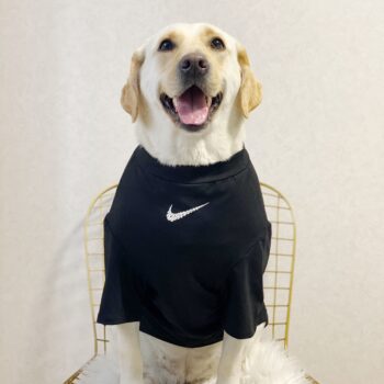 Vêtements pour grands chiens Nike | 2025