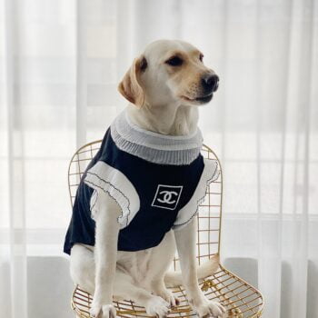 Vêtements Grands Chiens Chanel | 2025