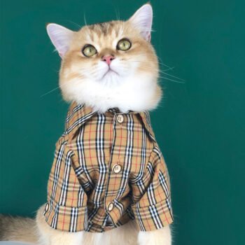 Chemise pour chien Burberry | 2024