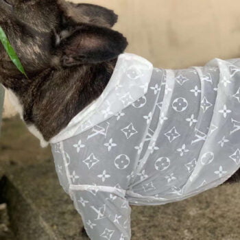 Sweat à capuche pour chien Fendi | 2024