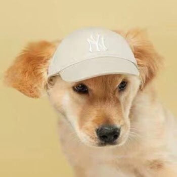 Casquette pour chiens - 2025 - Doglovedesign : Vêtement et accessoires pour chiens Casquette pour chiens - 2025 - Doglovedesign : Vêtement et accessoires pour chiens