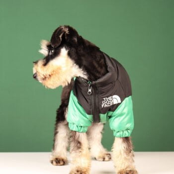 Veste pour chien The North Face | 2024