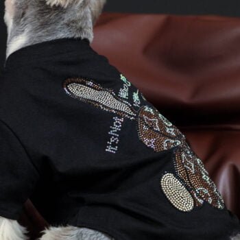 T-shirt pour chien Louis Pawtton | 2024