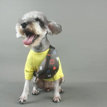 Sac Banane Monogrammé | Accessoire Chien Luxe & Vêtement Chihuahua Tendance - 2025 - Doglovedesign : Vêtement et accessoires pour chiens