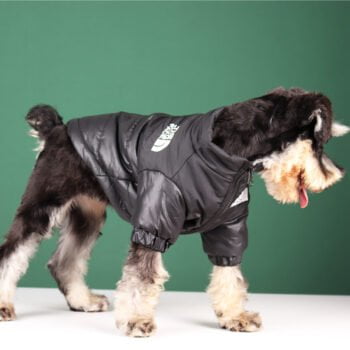 Veste pour chien The North Face | 2024