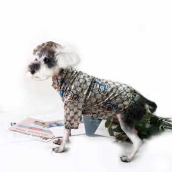 T-shirt pour chien Gucci | 2024