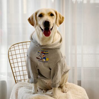 Vêtements Grands Chiens Pawcci - 2025 - Vêtement et accessoires pour chiens - Doglovedesign