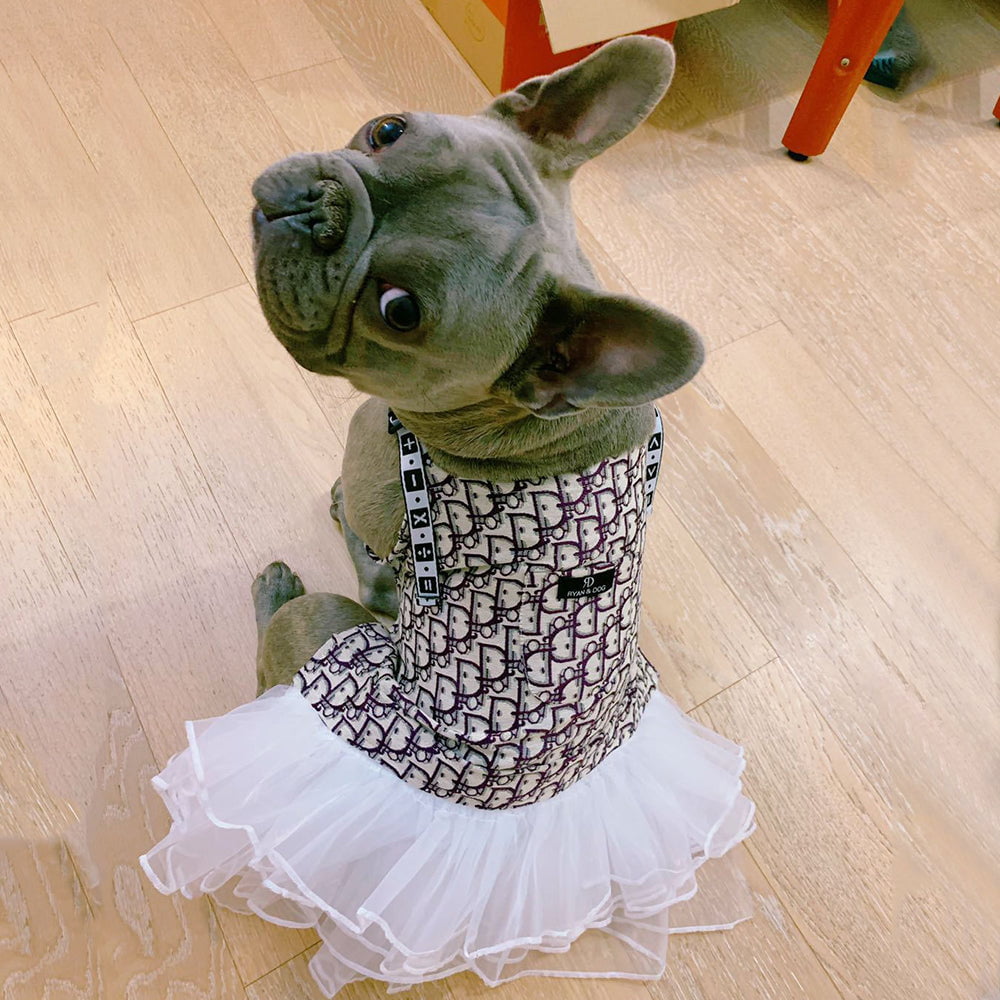 Robe pour chien Dior | 2024