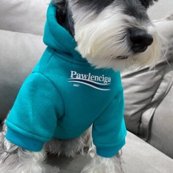 Sweat à capuche pour chien Balenciaga | 2024