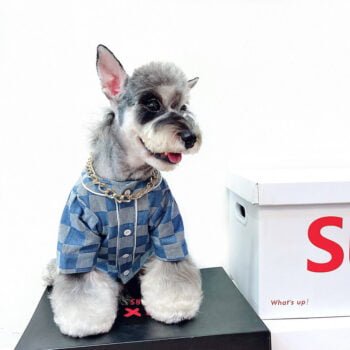 Veste pour chien Badgod - 2025 - Vêtement et accessoires pour chiens - Doglovedesign