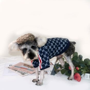 Veste pour chien Pawcci - 2025 - Vêtement et accessoires pour chiens - Doglovedesign