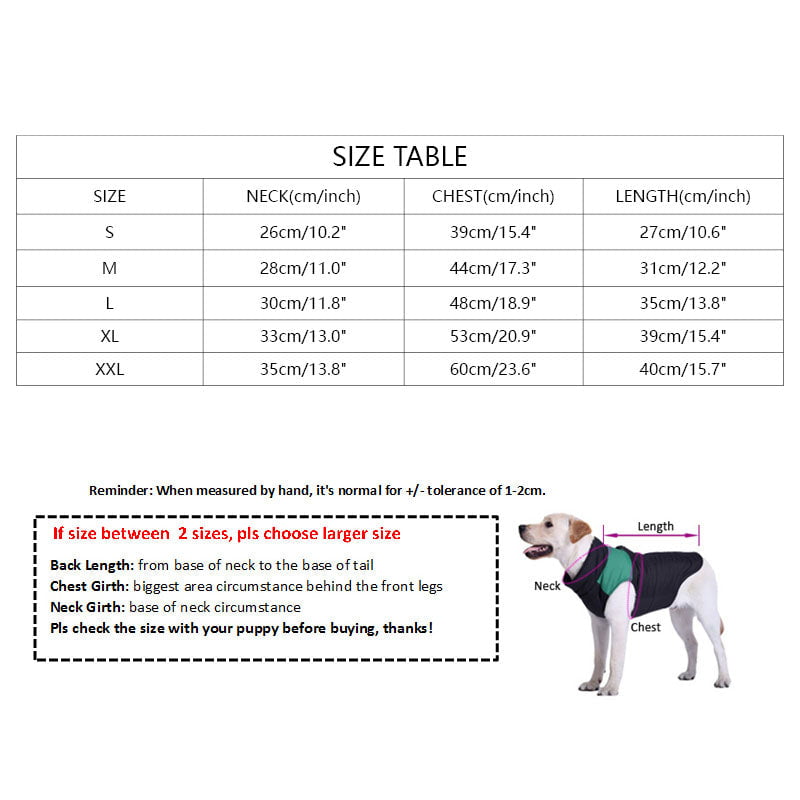 Pull pour chien Celine | 2023