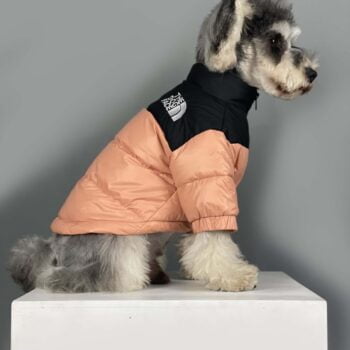 Veste pour chien The North Face | 2024