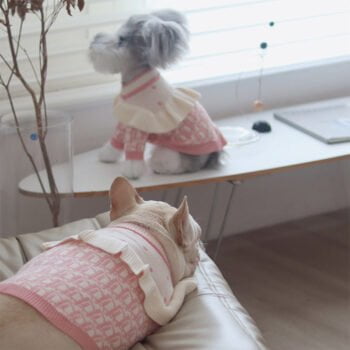 Pull pour chien Dior | 2025