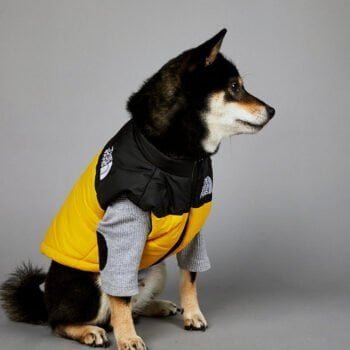Manteau de luxe THE DOG FANS - 2025 - Doglovedesign : Vêtement et accessoires pour chiens
