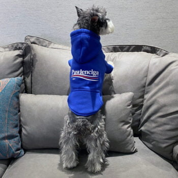 Sweat à capuche pour chien Balenciaga | 2024