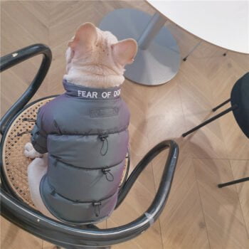 Veste pour chien | 2024