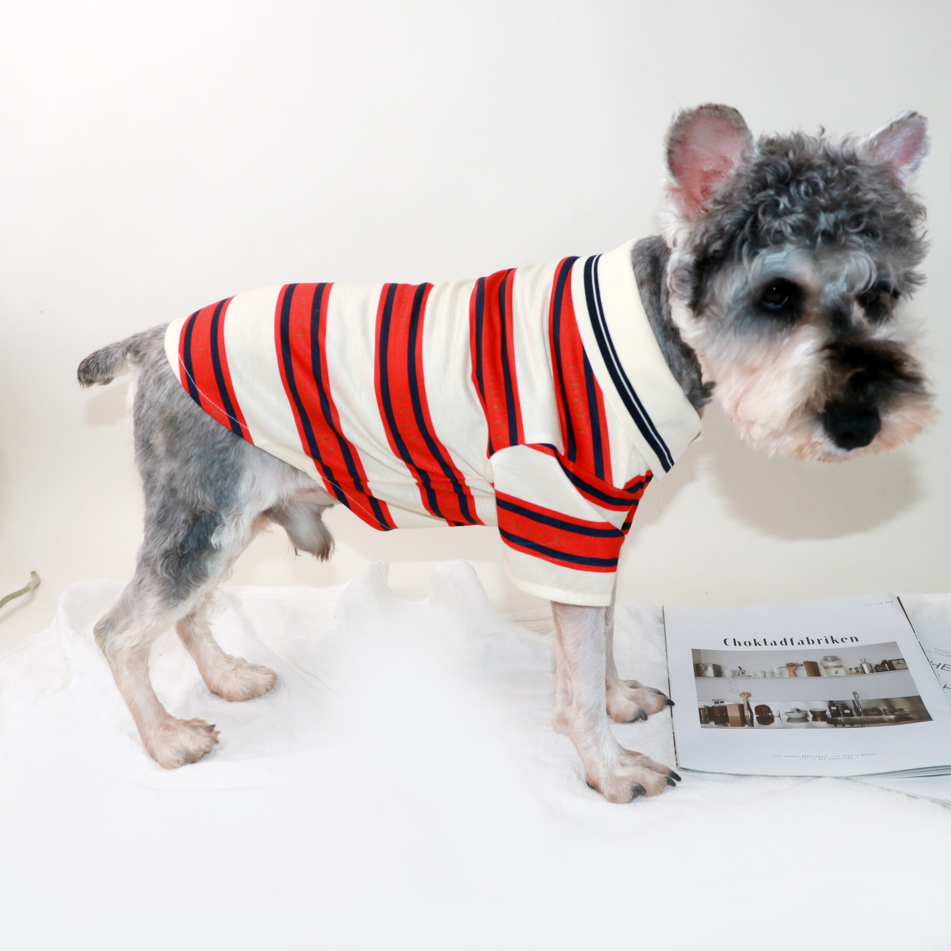 T-shirt pour chien Gucci | 2025