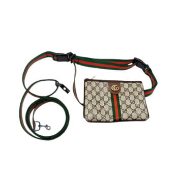 Collier et harnais pour chien Gucci | 2024