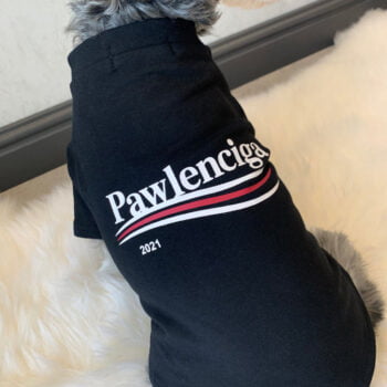 T-shirt pour chien Balenciaga | 2025