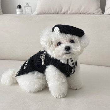 Pull pour chien Chanel | 2024