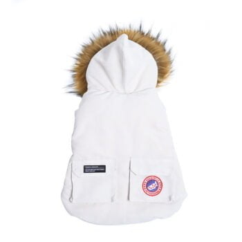 Veste pour chien Canada Goose | 2024