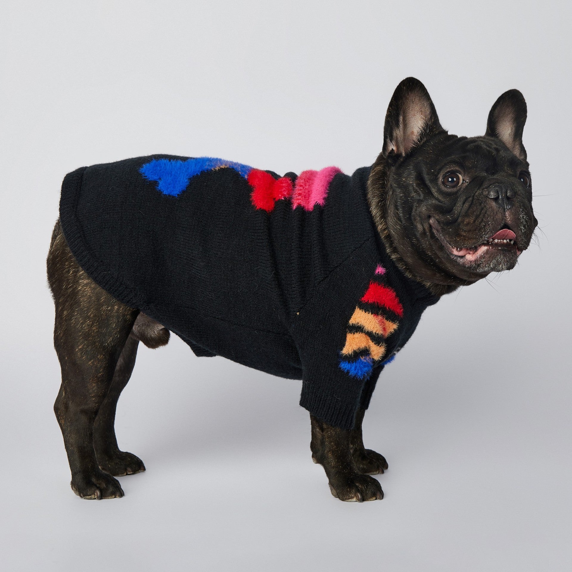 Pull pour chien WOOF | 2023