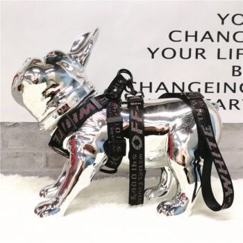 Collier et harnais pour chien Off White - 2025 - Vêtement et accessoires pour chiens - Doglovedesign